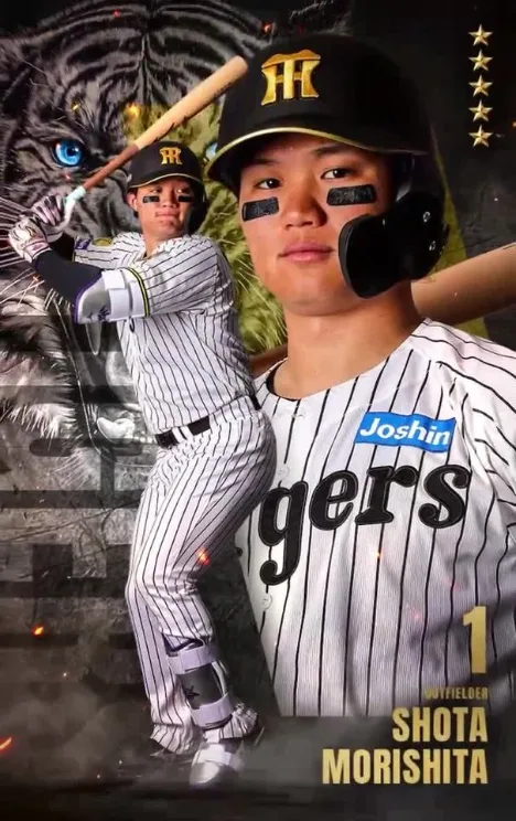 Tigers COLLECTION（タイガースコレクション）