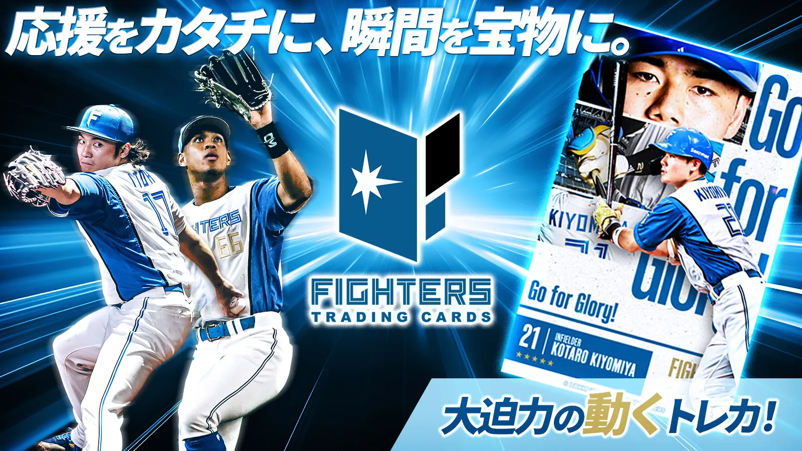 ファイターズトレカ