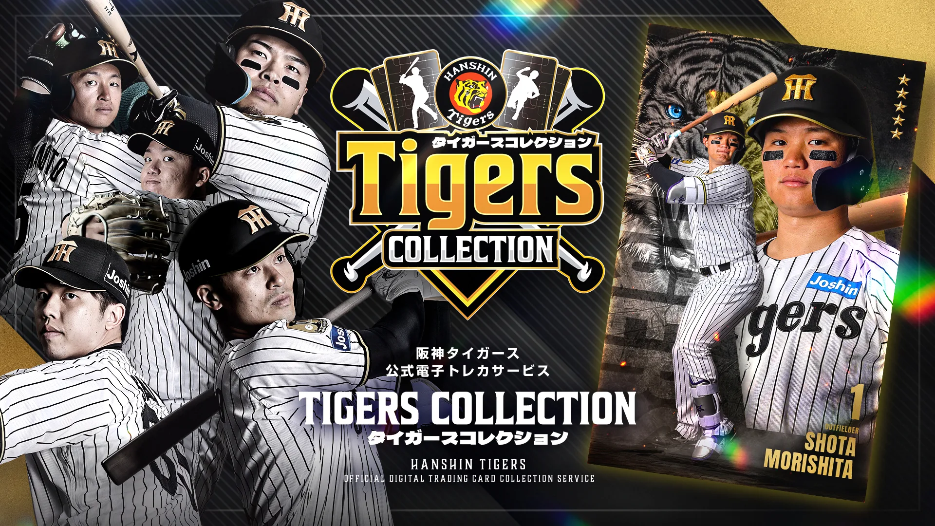 Tigers COLLECTION（タイガースコレクション）