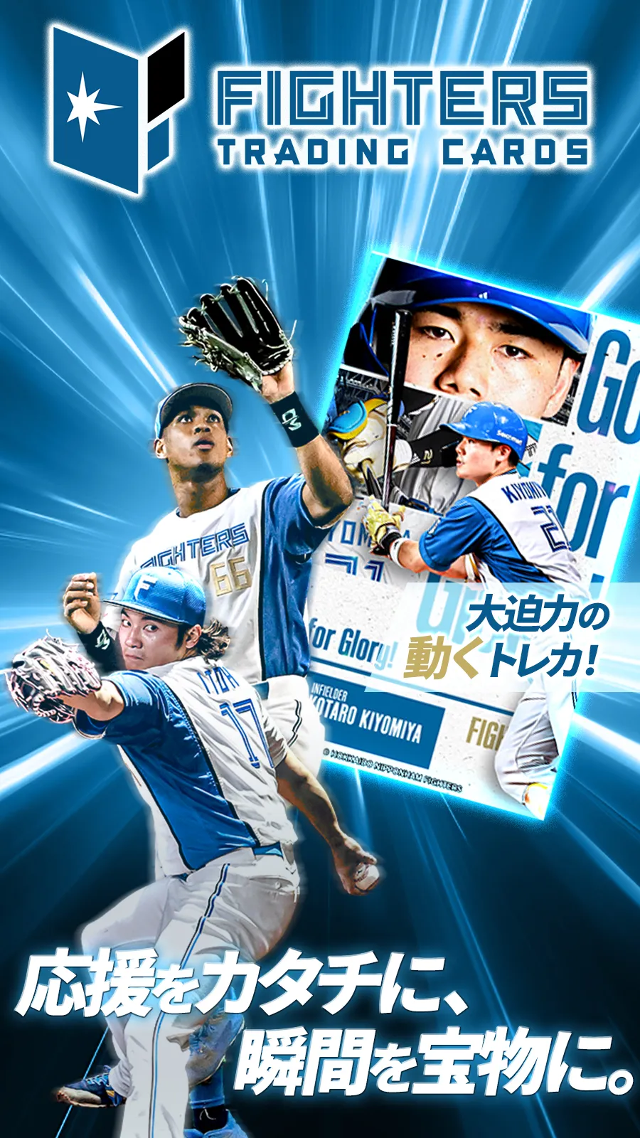 タカラ　ファイターズ 選手カードセット 2024 北海道日本ハムファイターズPREMIER EDITION ベースボールカード